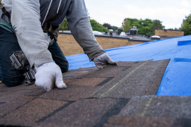 Best Roof Leak Repair  in Yucos, CA